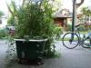 Bathtub garden / Jardin dans un bain